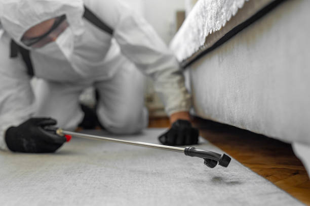Professional Cockroach Control technician working in Victoria, VA